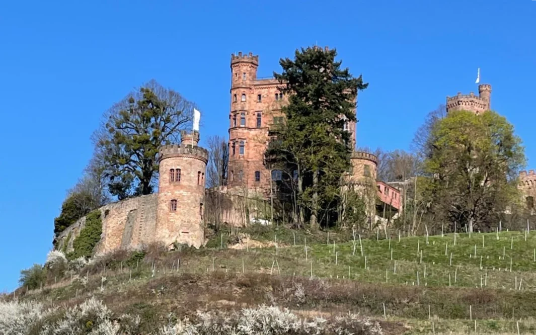 Sie betrachten gerade Offenburg-Gengenbach-Pfaffenbach